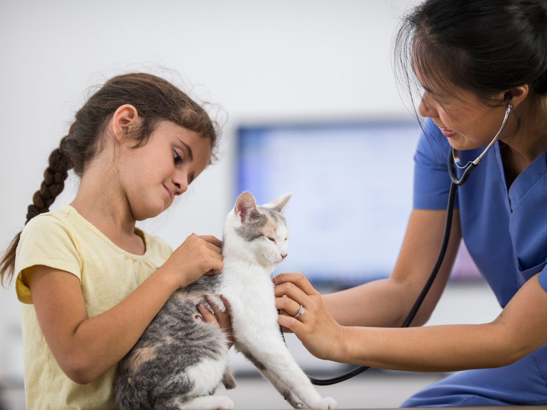 Paws Care